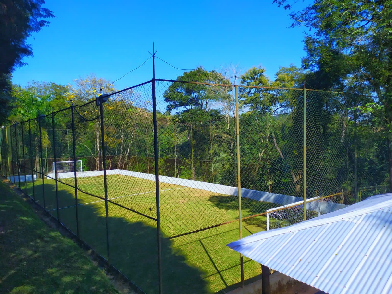Campo gramado do sítio